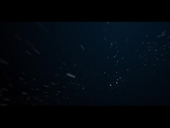 IP66 ไฟ LED ด้านนอก 10W COB ต้นไม้สวนสปิกแสง