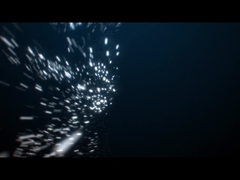 สแตนเลส ไฟหล่อ LED ที่ดําน้ําได้ IP68 DC24V มีใบรับรอง CE