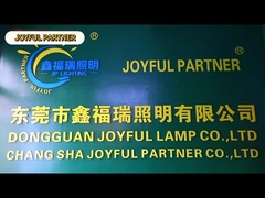 แสงสระว่ายน้ํา RGB