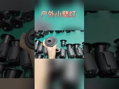 งานประมวลแสงฮ่องกง