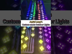 หลอดไฟในพื้นที่ 304/316 สแตนเลส ปรับ OEM DC12V Pathway Drivew