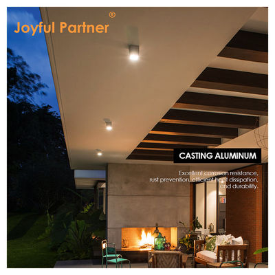 Joyful LED Wall Ceiling Surface Mount Light 4W 8W 220V AC อลูมิเนียมตัว