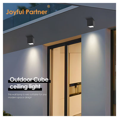 Joyful LED Wall Ceiling Surface Mount Light 4W 8W 220V AC อลูมิเนียมตัว