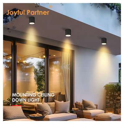 ไฟกลางแจ้ง Led Yard Light สําหรับประตู AC 220v สีขาวอบอุ่นและเย็น สีขาว วัสดุอลูมิเนียม 15W LED Wall Lights COB