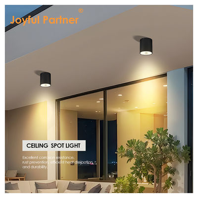 ไฟ LED ดํา กระบอกติดผนัง สําหรับกลางแจ้งสวนผนังแสงกลางวัน COB Al วัสดุที่มีบริการ OEM